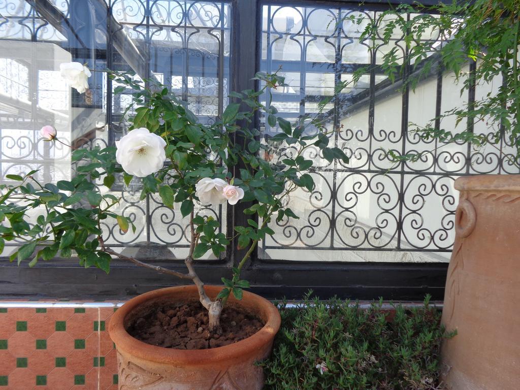 Riad Mouna Marrakesh Exterior photo